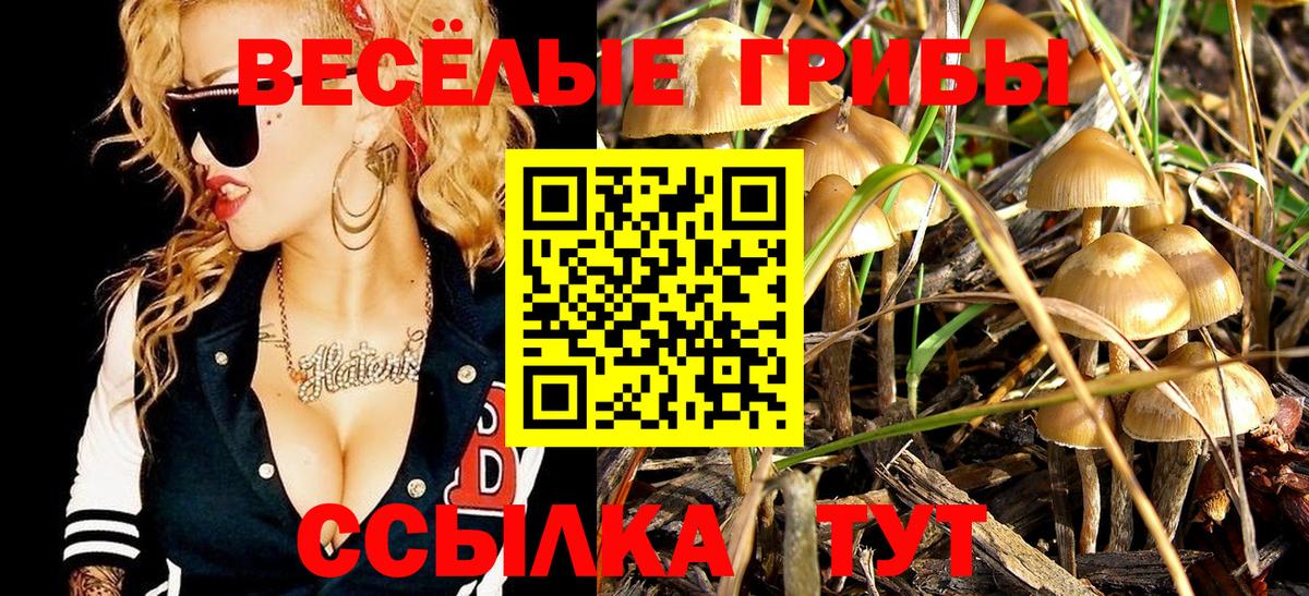 Галлюциногенные грибы ЛСД Карабулак