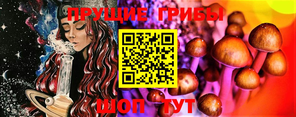 Галлюциногенные грибы прущие грибы  Галлюциногенные грибы Psilocybine cubensis  Вход с VPN  Карабулак 