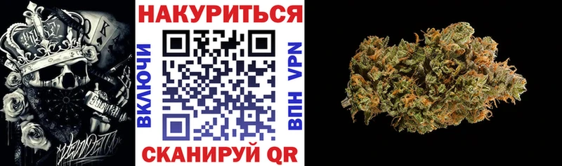 Бошки Шишки сатива  дарнет шоп  Карабулак 