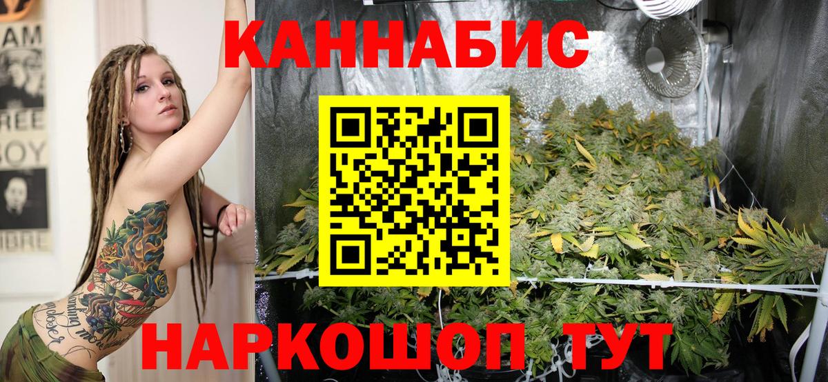 Каннабис AK-47  Вход с VPN  Бошки Шишки индика  Бошки Шишки SATIVA & INDICA  Карабулак 